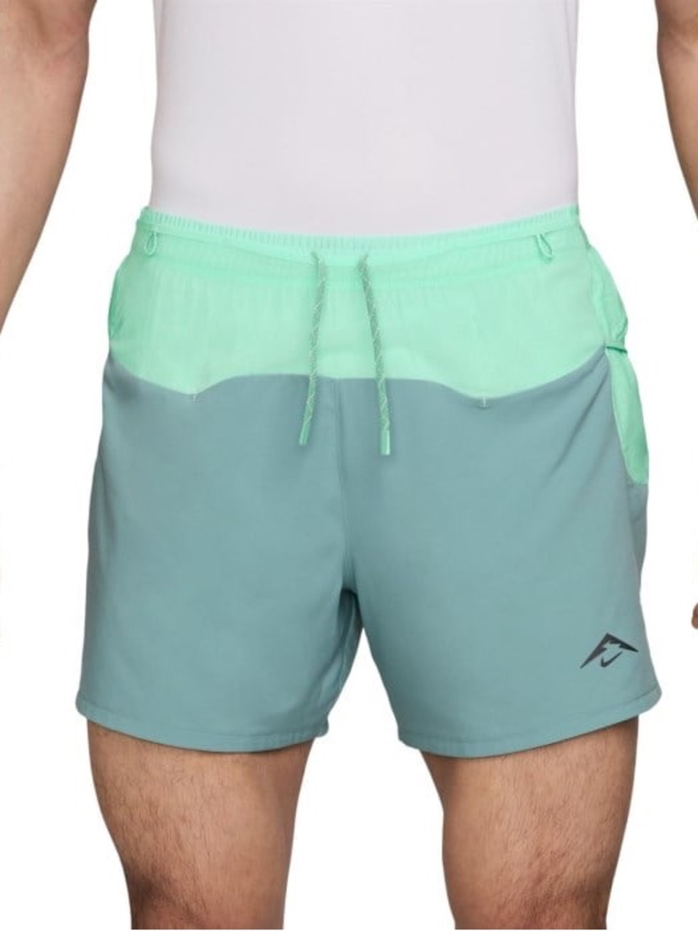 Nike Men’s Mint and Teal Athletic Shorts